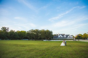 306-161106 Carla+Geoff-2793 (Small)